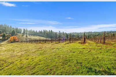 2635 Cleese Road, Camino, CA 95709 - Photo 27