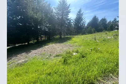 56 E Vista Rd, Whitethorn, CA 95589 - Photo 3