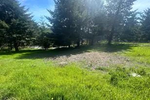 56 E Vista Rd, Whitethorn, CA 95589 - Photo 1