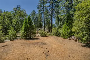 19130 Ponderosa Way, Volcano, CA 95689 - Photo 55