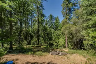 19130 Ponderosa Way, Volcano, CA 95689 - Photo 61