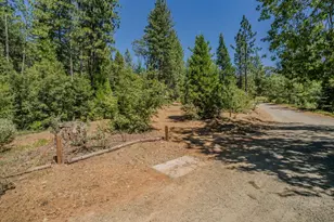19130 Ponderosa Way, Volcano, CA 95689 - Photo 57