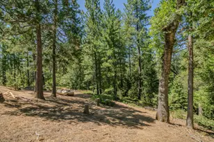 19130 Ponderosa Way, Volcano, CA 95689 - Photo 43
