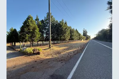 5000 Wilson Hill Road, Manton, CA 96059 - Photo 61