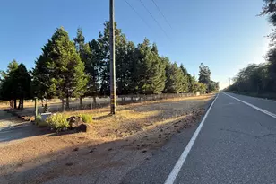 5000 Wilson Hill Rd, Manton, CA 96059 - Photo 61