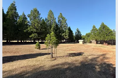 5000 Wilson Hill Road, Manton, CA 96059 - Photo 59