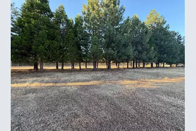 5000 Wilson Hill Road, Manton, CA 96059 - Photo 59