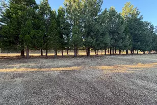 5000 Wilson Hill Rd, Manton, CA 96059 - Photo 59