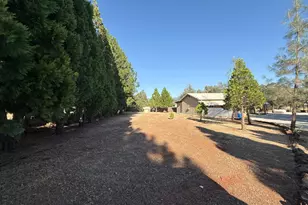 5000 Wilson Hill Rd, Manton, CA 96059 - Photo 33