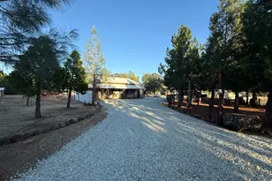 5000 Wilson Hill Rd, Manton, CA 96059 - Photo 3