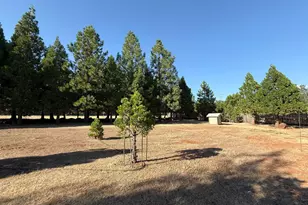 5000 Wilson Hill Rd, Manton, CA 96059 - Photo 57