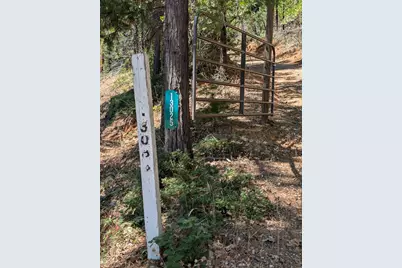 13025 Wild Life Lane, Grass Valley, CA 95945 - Photo 13
