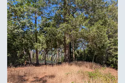 13025 Wild Life Lane, Grass Valley, CA 95945 - Photo 15