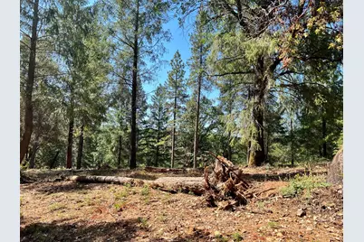 43 Bottle Hill Road, Georgetown, CA 95634 - Photo 1