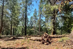 43 Bottle Hill Rd, Georgetown, CA 95634 - Photo 1