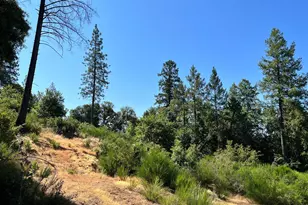 75 Bottle Hill Rd, Georgetown, CA 95634 - Photo 1