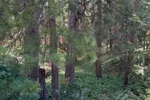 858 Meadow, Arnold, CA 95223 - Photo 1