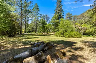 1040 Dog Bar Rd, Colfax, CA 95713 - Photo 63