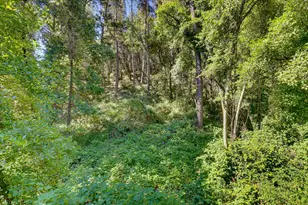 15846 Annie Dr, Grass Valley, CA 95949 - Photo 31