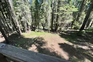 1494 Snowflower Cir, Strawberry Valley, CA 95981 - Photo 33