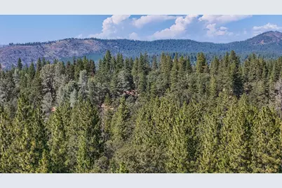 0 Grizzly Flat Road, Somerset, CA 95684 - Photo 7