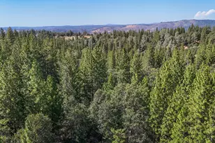 0 Grizzly Flat Rd, Somerset, CA 95684 - Photo 1