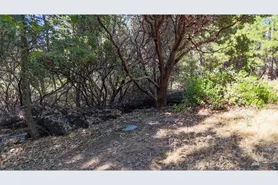 0 Old School House Road, Somerset, CA 95684 - Photo 13