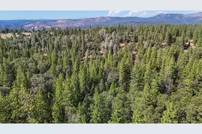 0 Grizzly Flat Road, Somerset, CA 95684 - Photo 3