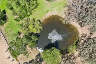 24816 Restive Way, Grass Valley, CA 95949 - Photo 55