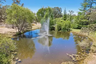 24816 Restive Way, Grass Valley, CA 95949 - Photo 57