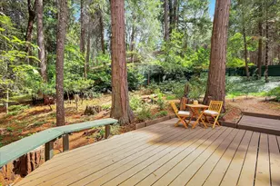 12593 Red Dog Rd, Nevada City, CA 95959 - Photo 11