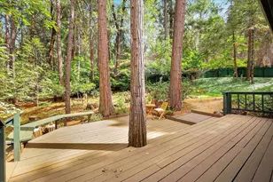 12593 Red Dog Rd, Nevada City, CA 95959 - Photo 9