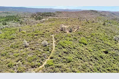 8972 Amoruso Lane, Oregon House, CA 95962 - Photo 15