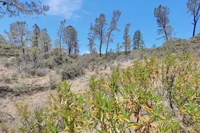8972 Amoruso Lane, Oregon House, CA 95962 - Photo 41