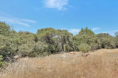 8972 Amoruso Lane, Oregon House, CA 95962 - Photo 55