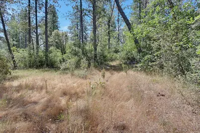 8972 Amoruso Lane, Oregon House, CA 95962 - Photo 35
