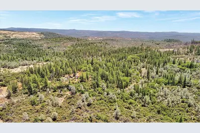 8972 Amoruso Lane, Oregon House, CA 95962 - Photo 7