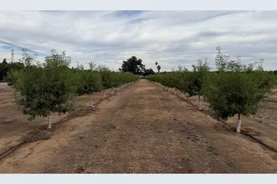 0 Williston Road, Live Oak, CA 95953 - Photo 1