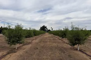 0 Williston Rd, Live Oak, CA 95953 - Photo 1