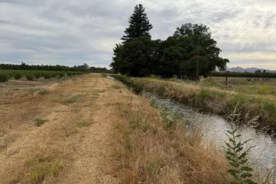 0 Williston Road, Live Oak, CA 95953 - Photo 5