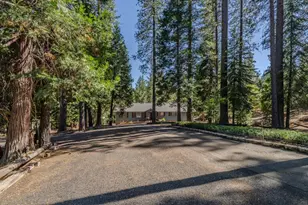 27352 Chaparral Dr, Pioneer, CA 95666 - Photo 1