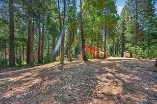 4201 Cub Trail, Garden Valley, CA 95633 - Photo 47