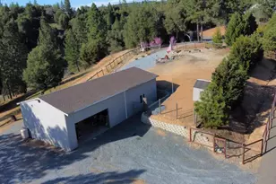 4255 Wild Lilac Ln, Greenwood, CA 95635 - Photo 3