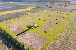 3781 Larkin Rd, Biggs, CA 95917 - Photo 27