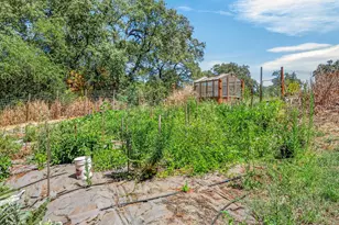 2402 Deer Valley Rd, Rescue, CA 95672 - Photo 63