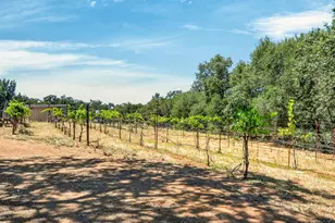 2402 Deer Valley Rd, Rescue, CA 95672 - Photo 51