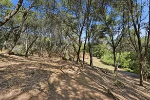 8830 Balmoral Dr, Newcastle, CA 95658 - Photo 41