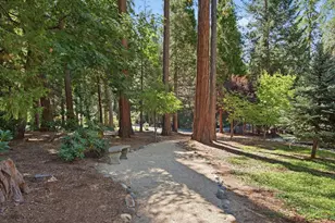 11188 Weatherly Pl, Grass Valley, CA 95945 - Photo 31