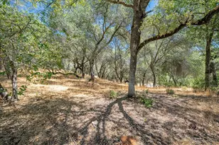 4350 Meadowview Acres Rd, Cool, CA 95614 - Photo 51