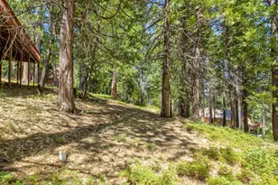 1952 Payette, Dorrington, CA 95223 - Photo 39